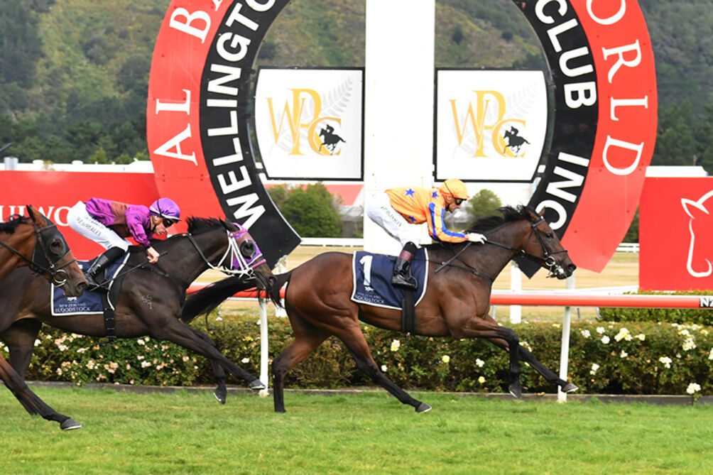 Flemington Plans for Amarelinha