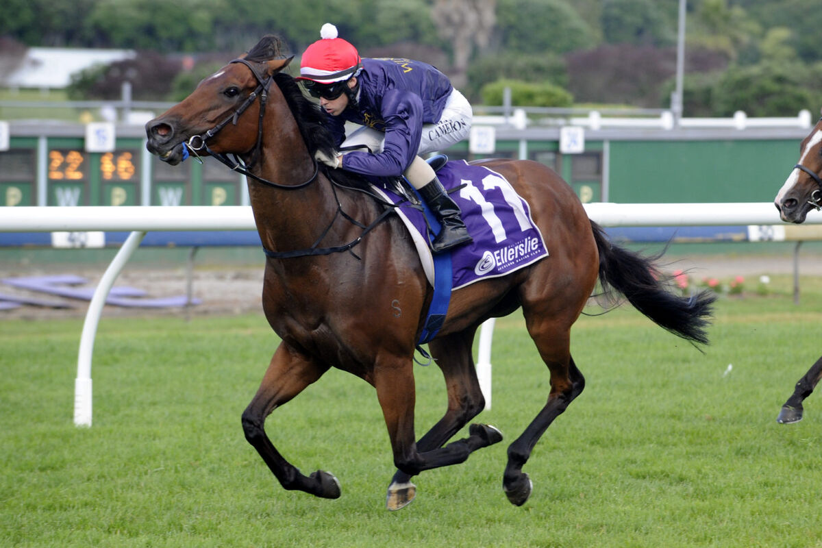 Another Flash Filly
