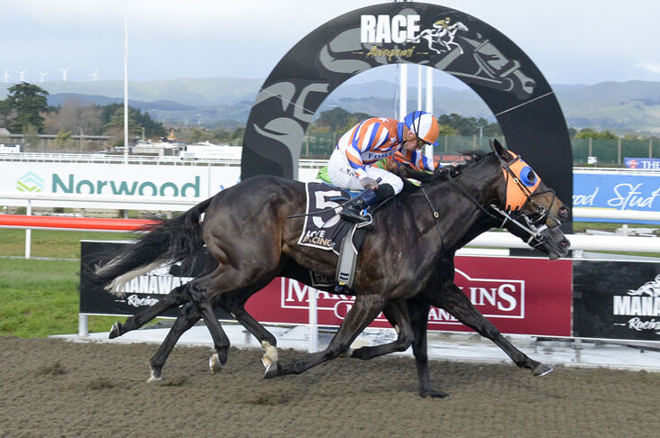 Awapuni Winning Quartet - Season Win 200!! A NZ Record!!