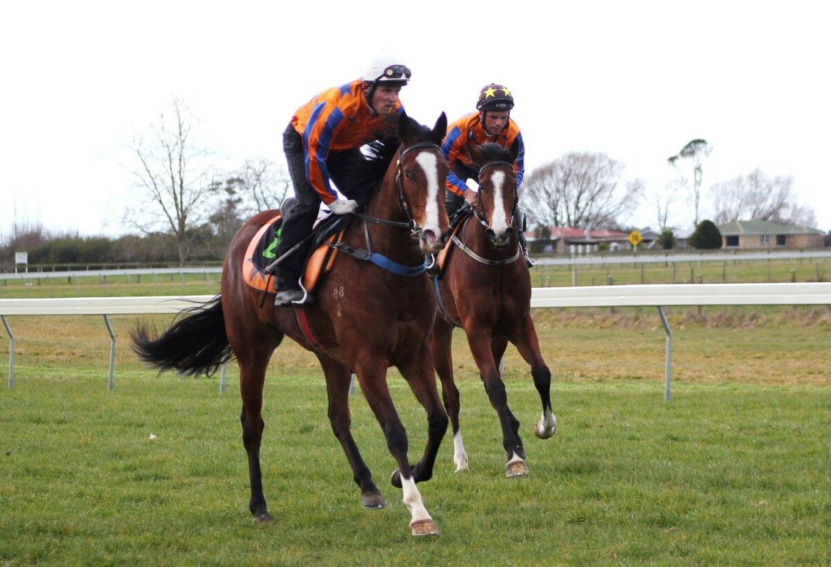 Te Akau at Te Teko Trials
