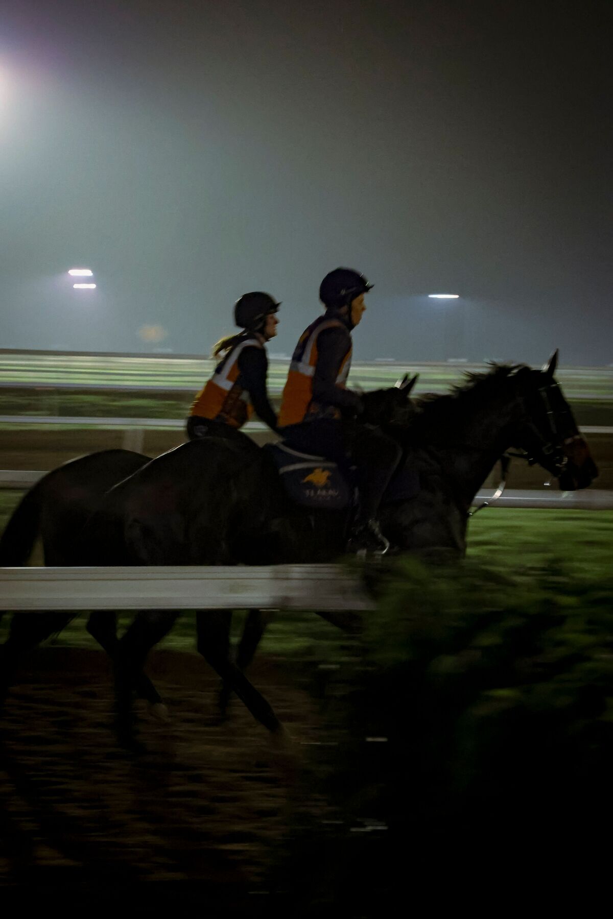 Te Akau North South Thursday Trackwork