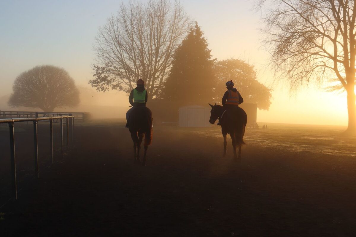 Te Akau Thursday Trackwork