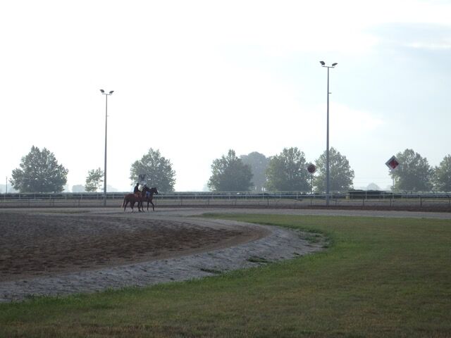 Te Akau Thursday Trackwork
