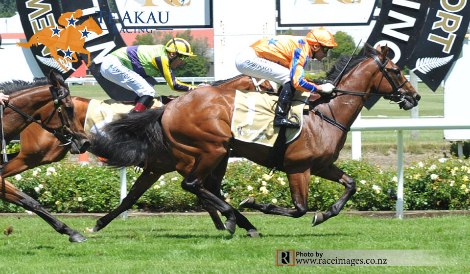 Aotea Lad - Grp 2 Winner on Debut