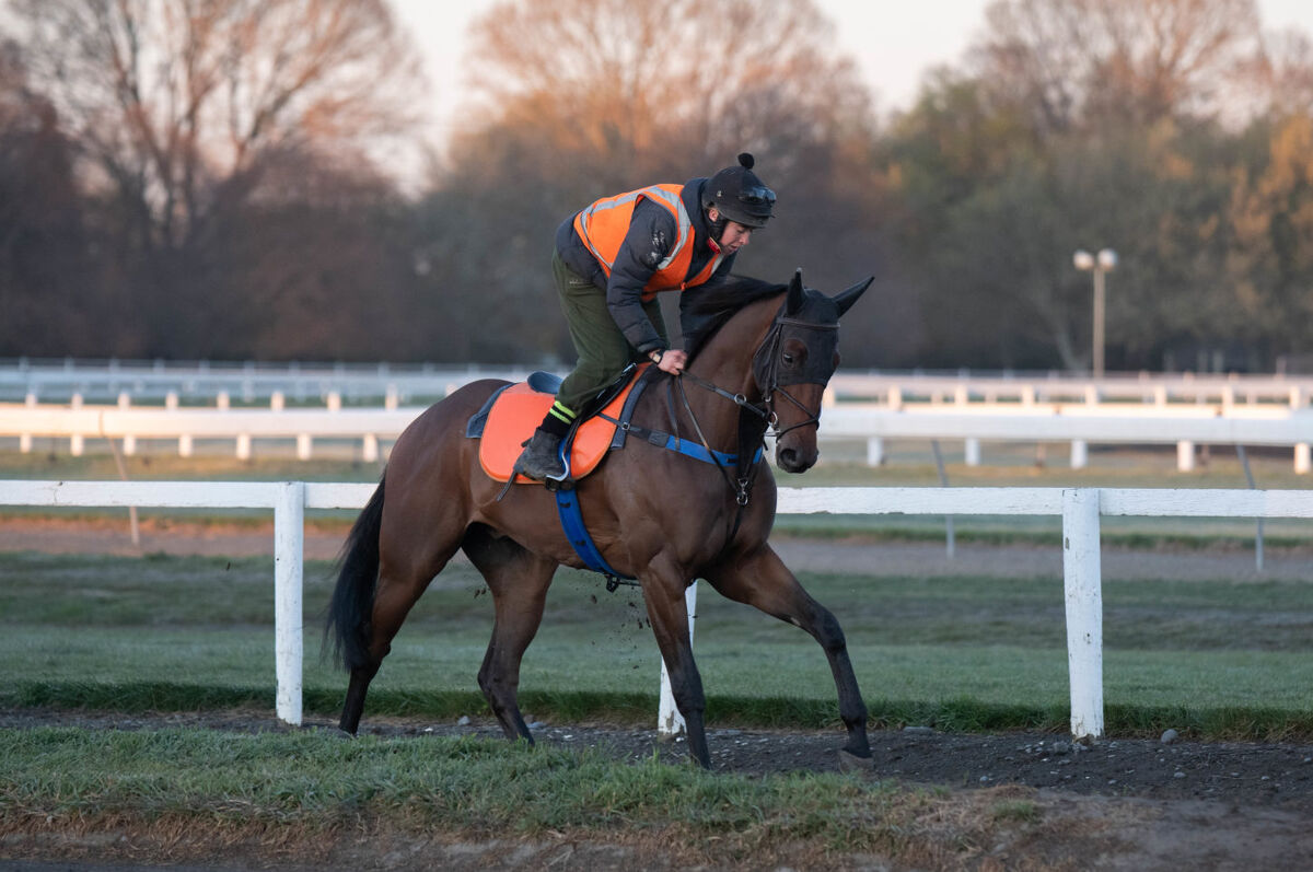 Te Akau Tuesday Trackwork