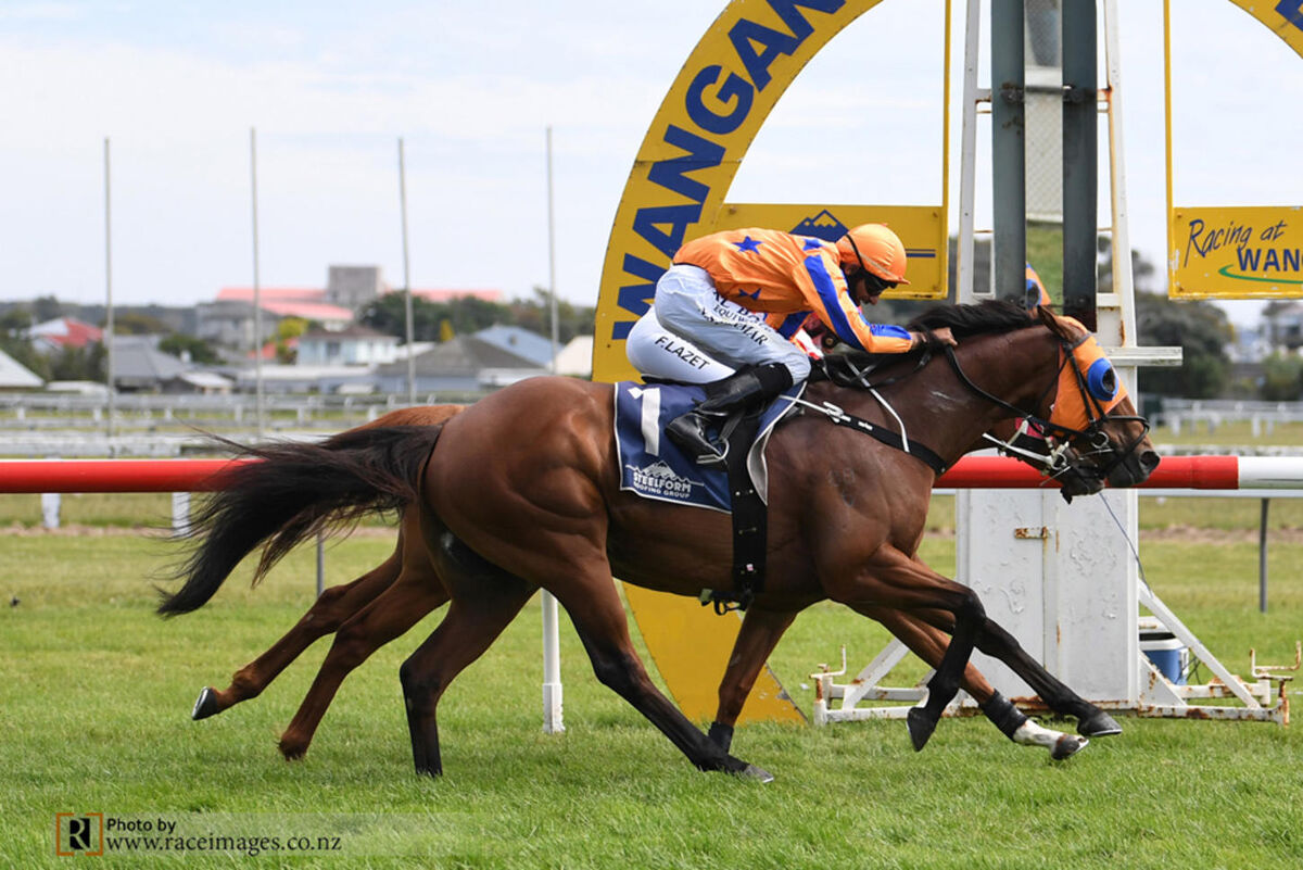 Aotea Lad - Saturday Winning Double
