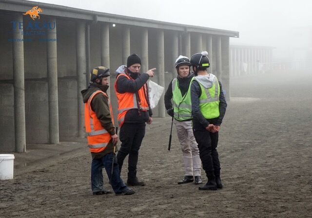 Te Akau Thursday Trackwork