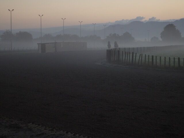 Te Akau Thursday Trackwork