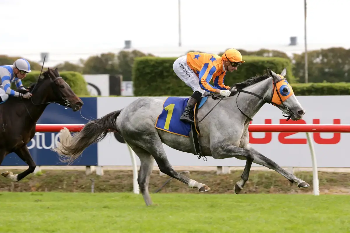 Aromatic's Exciting Broodmare Future