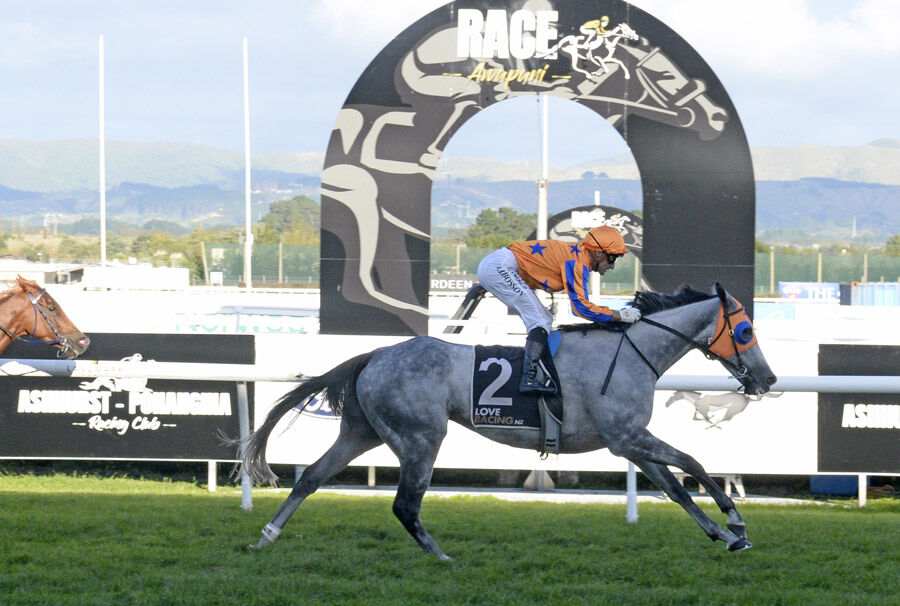 Te Akau Tuesday Update