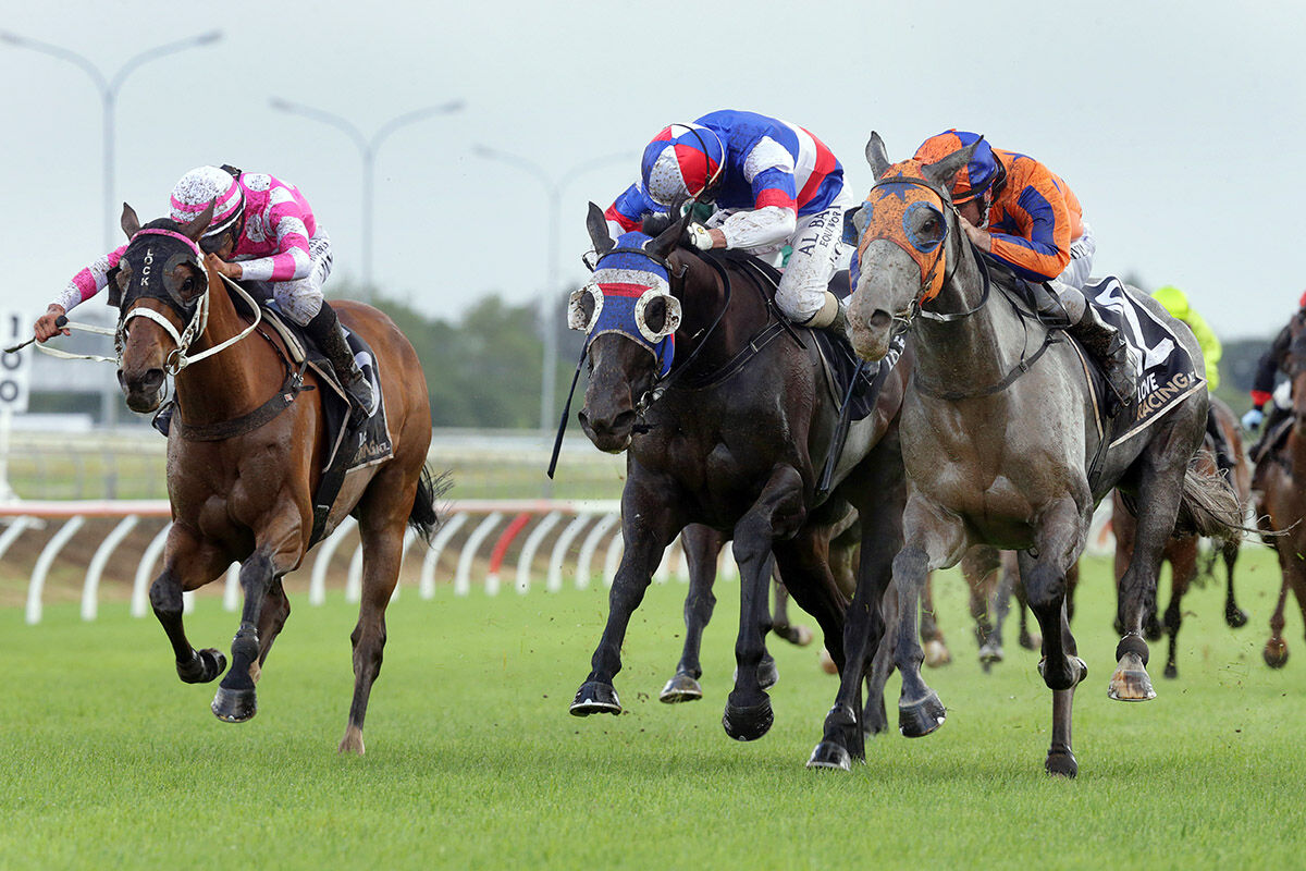 Te Akau North Island Saturday Preview