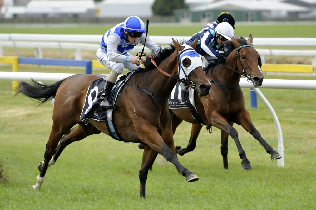 Te Akau Wins 3 - the 1st!