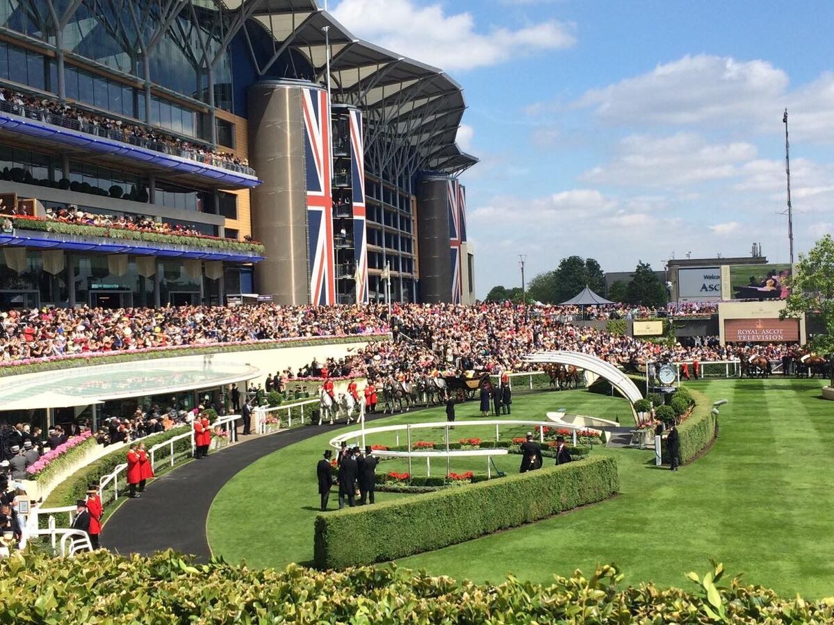 Te Akau Royal Ascot Album