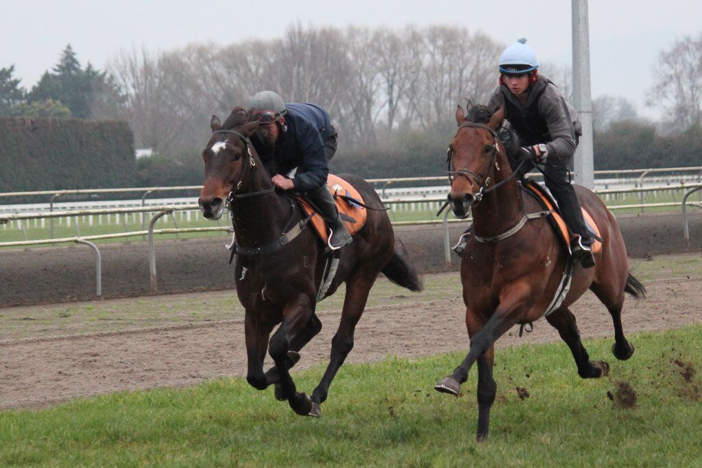 Te Akau Tuesday Trackwork