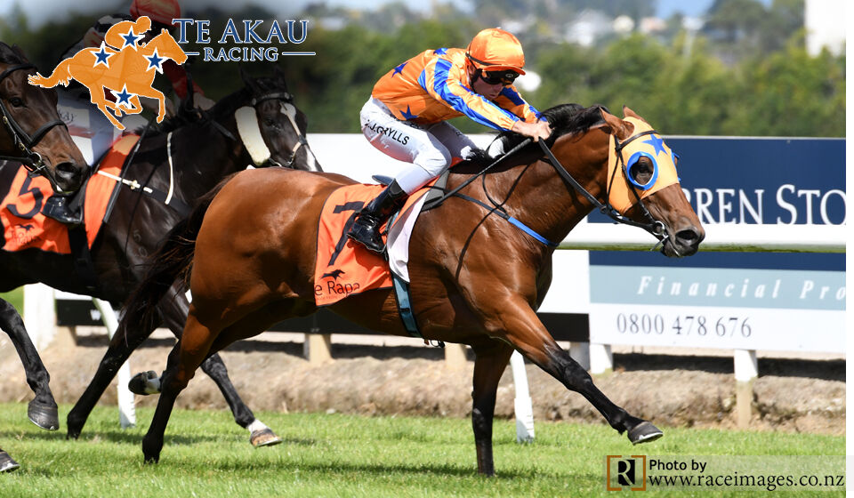 Te Akau Te Rapa Midweek Preview