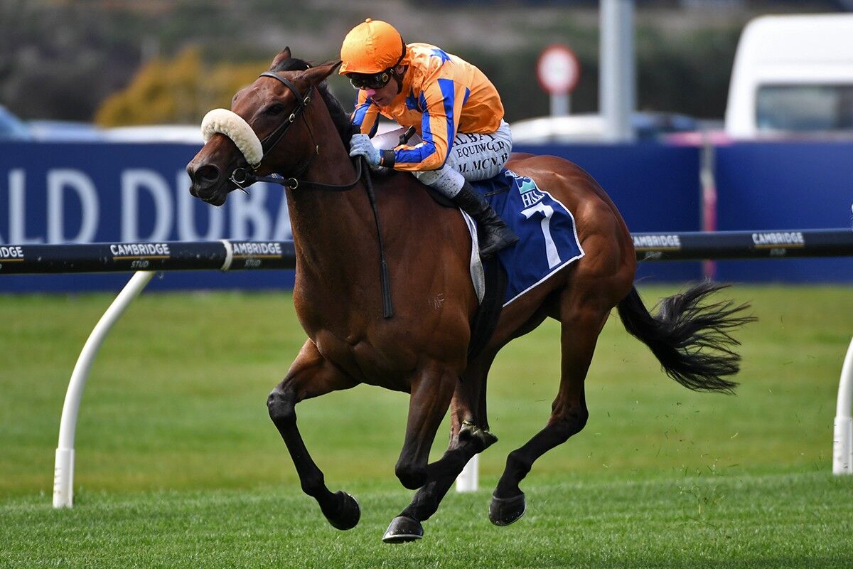 WINNER: Asturia Sublime on Debut