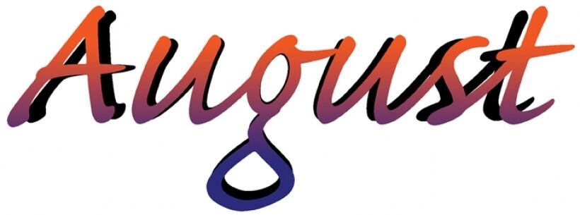 Te Akau's Incredible Year in Review - August 2019
