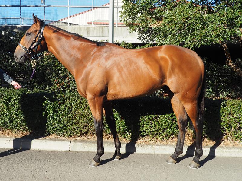 Augustus Rules at Kranji