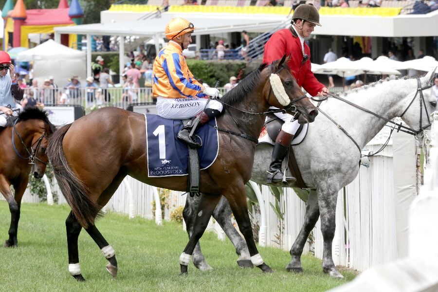 Te Akau Dominates Karaka Million Field