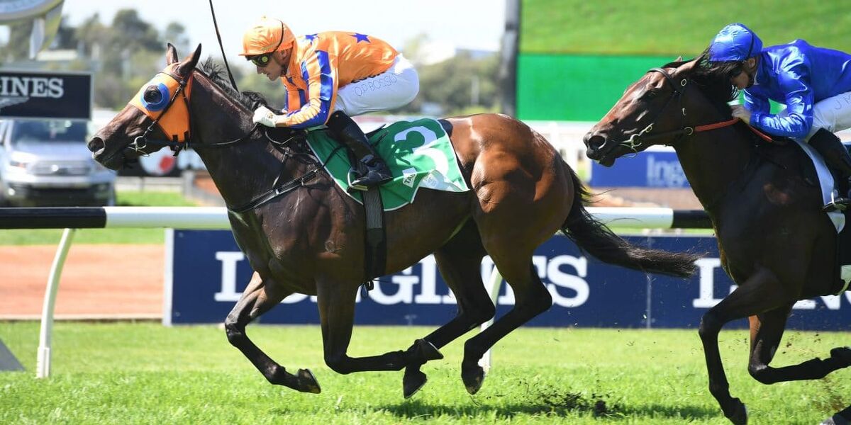 Avantage Shares Favouritism