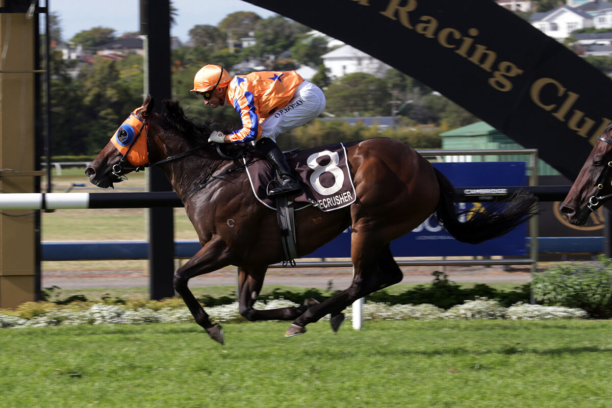 Te Akau Ellerslie Derby Day Preview