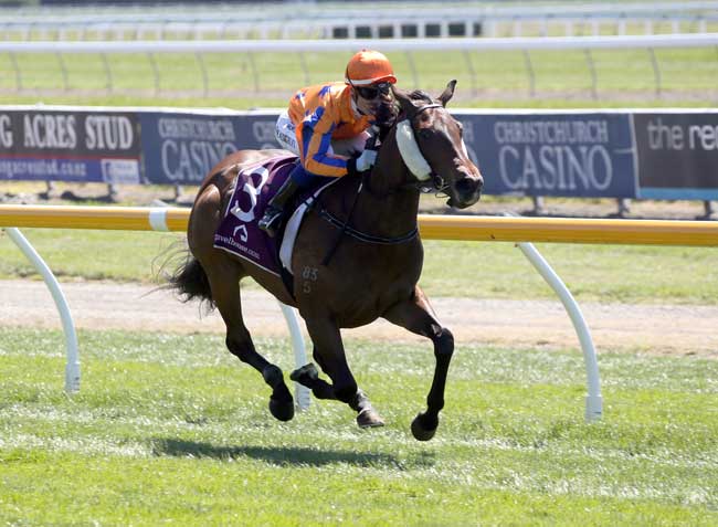 Te Akau Plots Million Repeat