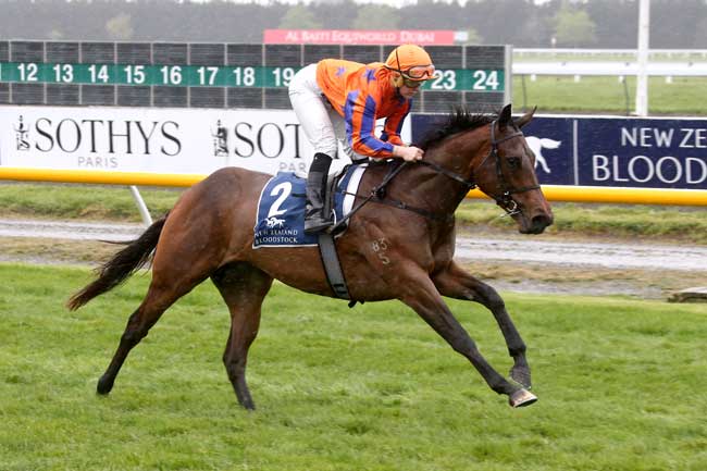 Fastnet Rock Double for Te Akau