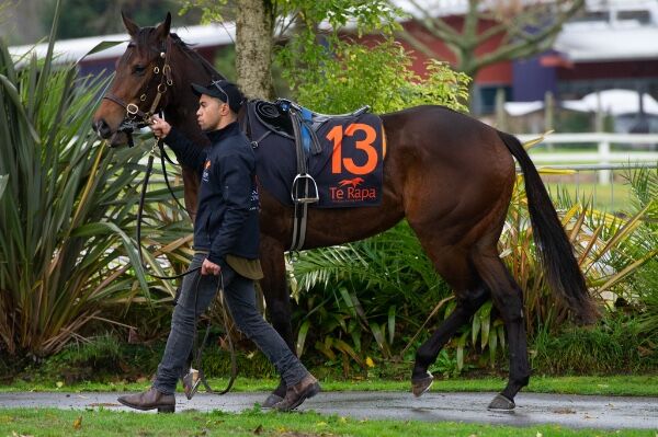 Jamie Richards' Talks Windsor Park Plate Chances