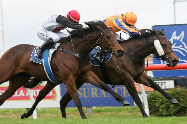 Te Akau Monday Update
