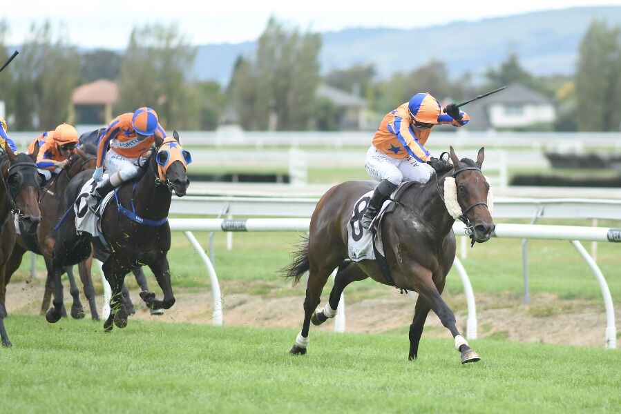 Avantage Dominant in Grp 1 Sires