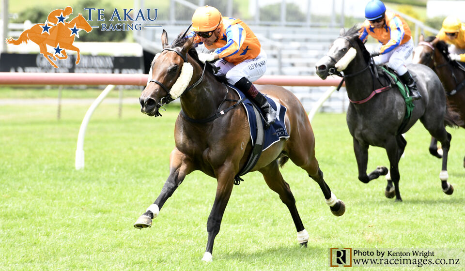 Avantage All Class