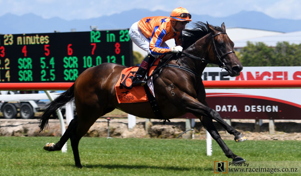 Avantage on Exhibition at Te Rapa