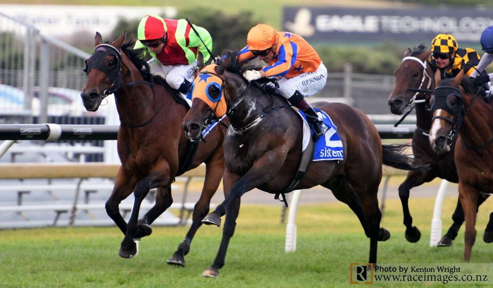 New Year Cheer - Group 1 Winner Avantage