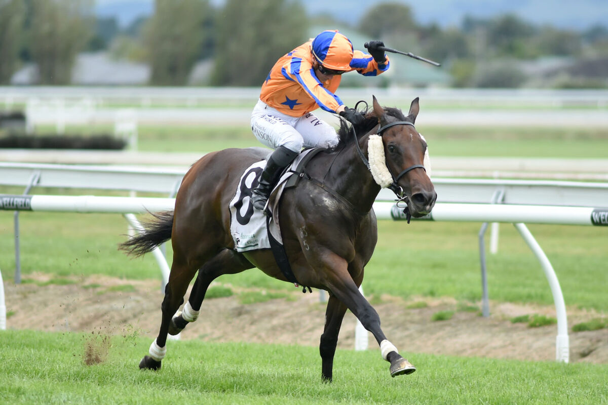 Avantage Draws Wide for Group 1 Telegraph