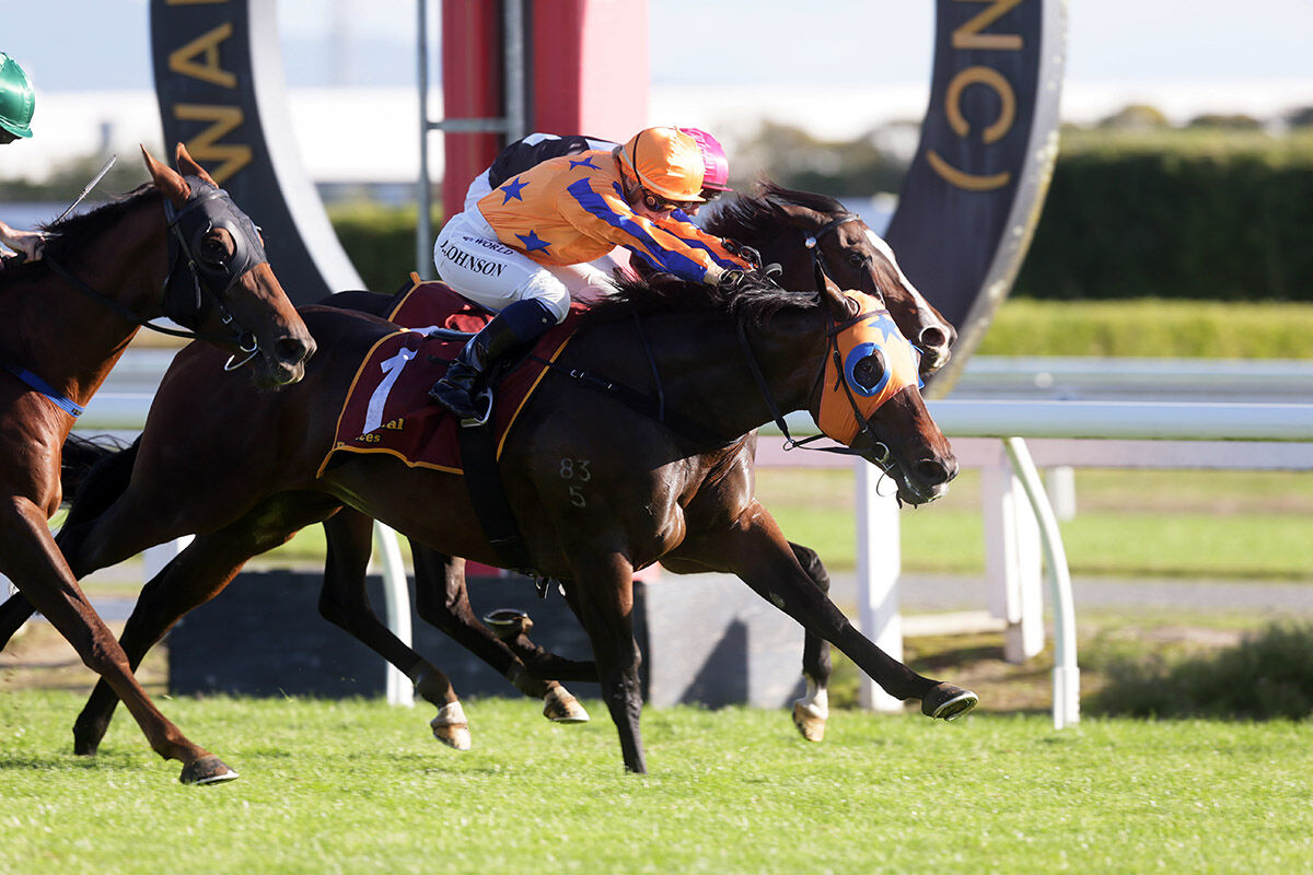 Te Akau Te Rapa Sunday Preview