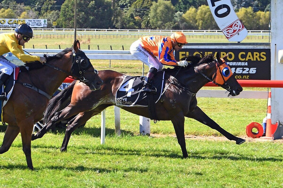 Te Akau Otaki Midweek Preview