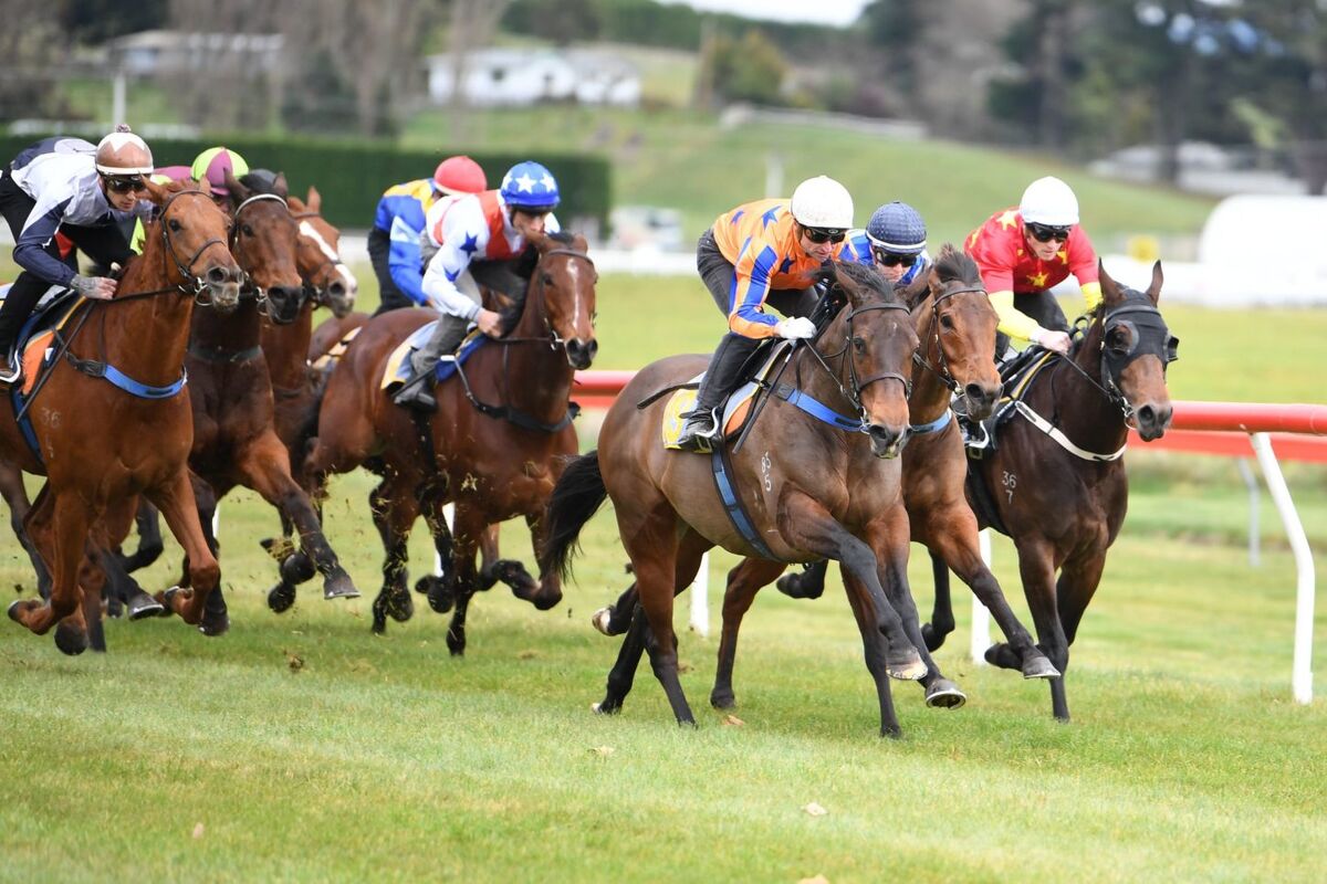 Te Akau Taupo Trials' Report