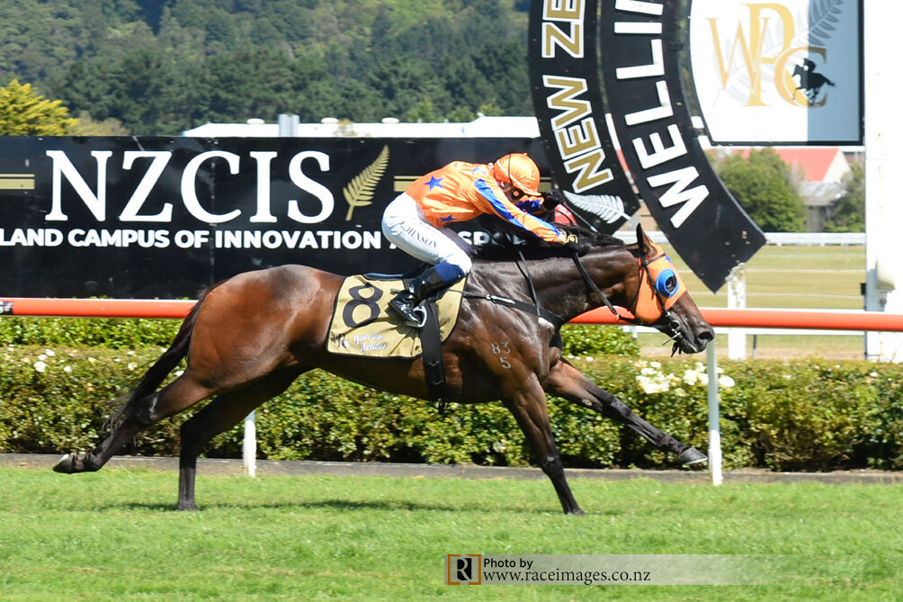 Avantage Awesome Again - Group 1 Number 6
