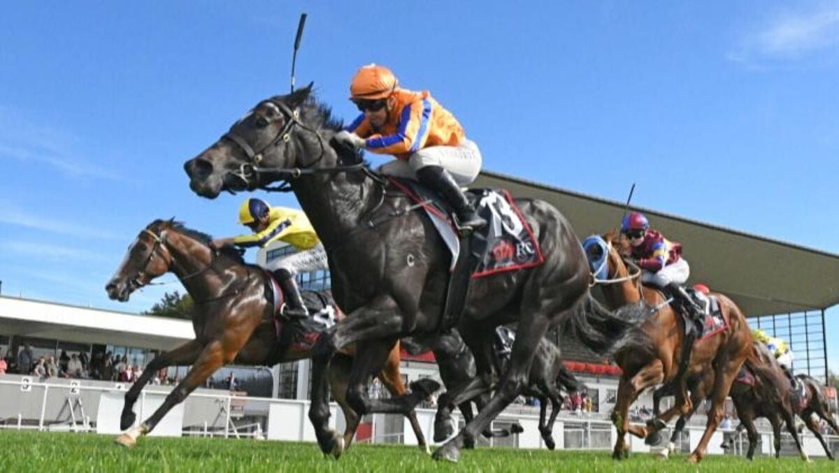 Blue Blood Filly Earns Black Type Tilt