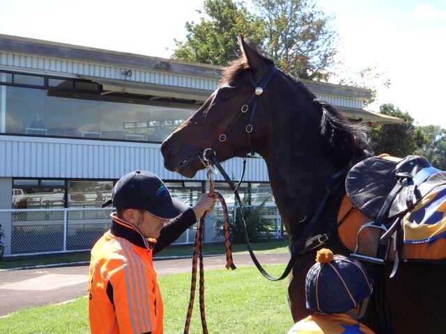 Te Akau Avondale Trials' Report