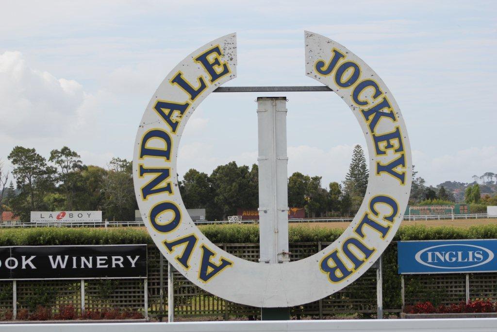 Te Akau Avondale Preview