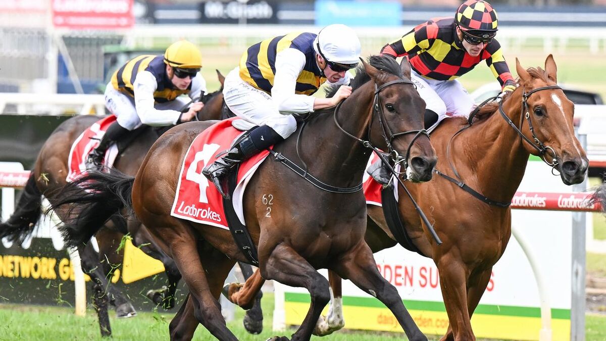 Amazing Azazel - Stakes' Winner