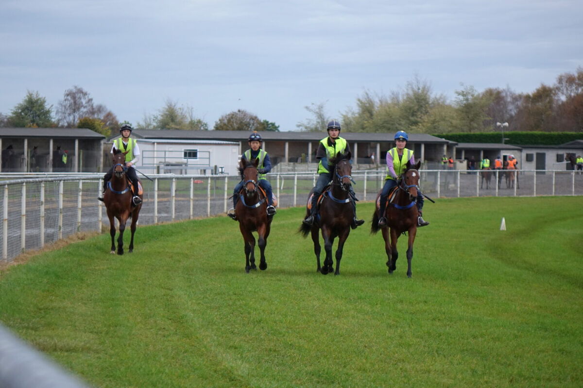 Te Akau Tuesday Trackwork