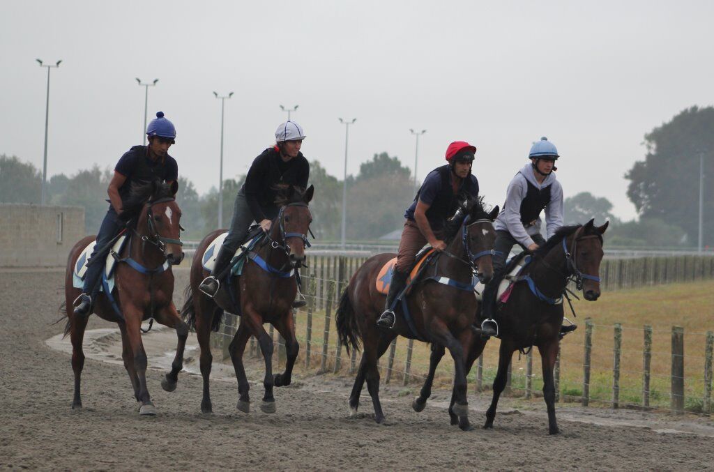 Te Akau Thursday Trackwork