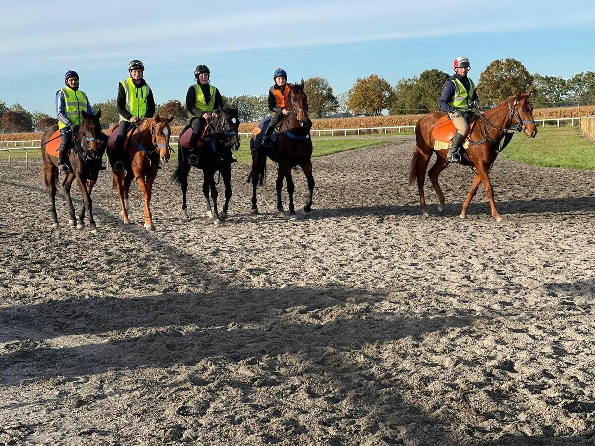 Te Akau Weekend Trackwork