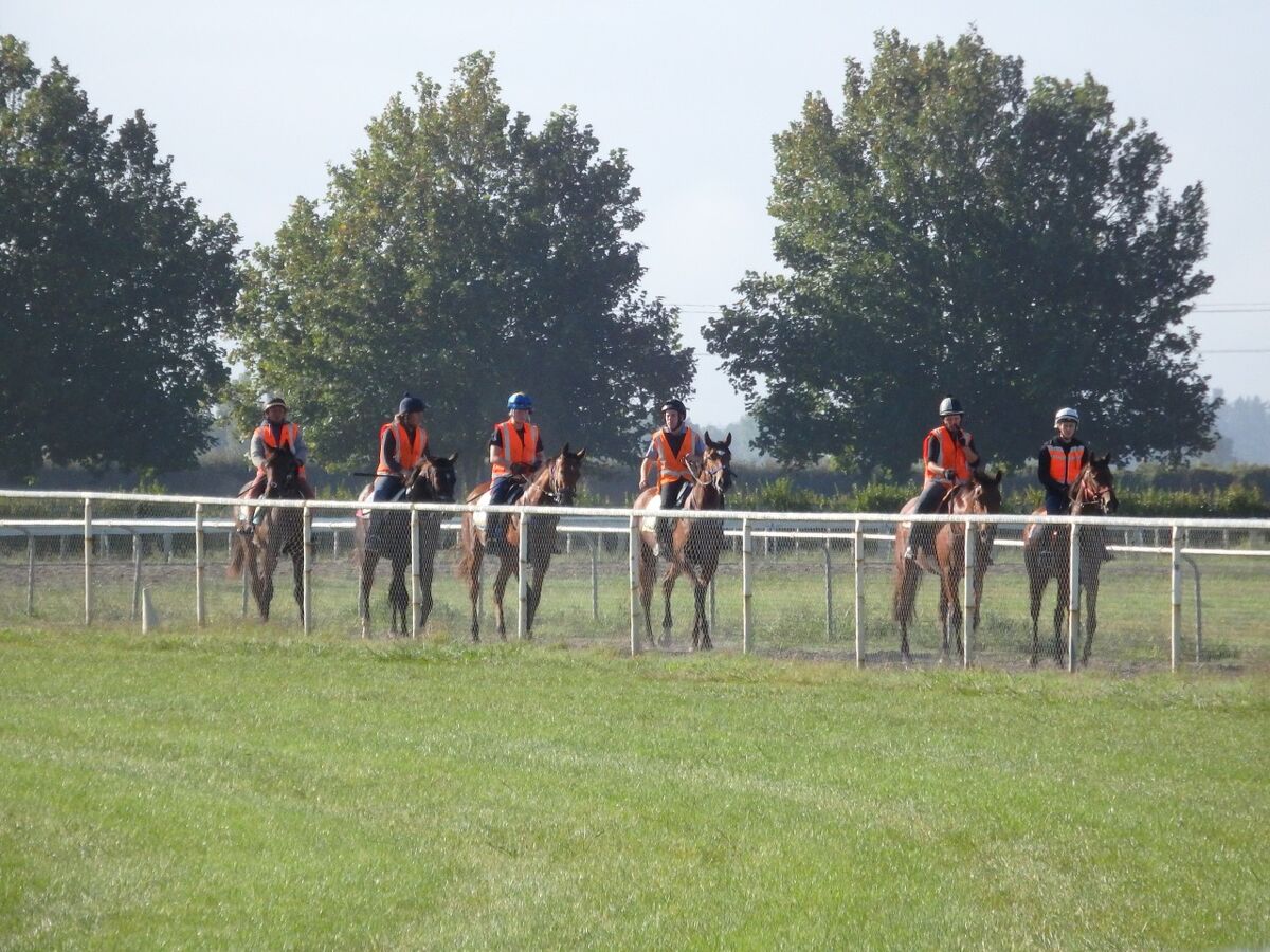 Te Akau Thursday Trackwork