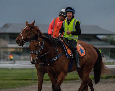 Riccarton Trackwork Update