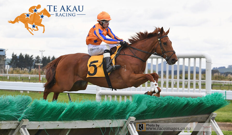 Te Akau Hastings Thursday Preview