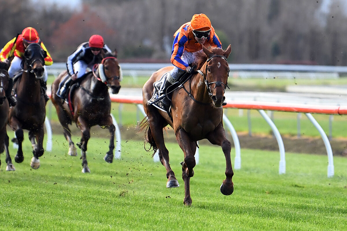 Te Akau Wanganui Thursday Preview