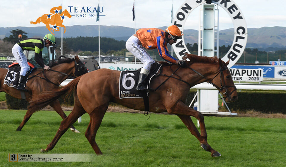 Bak Da Master Makes It 100 for Te Akau